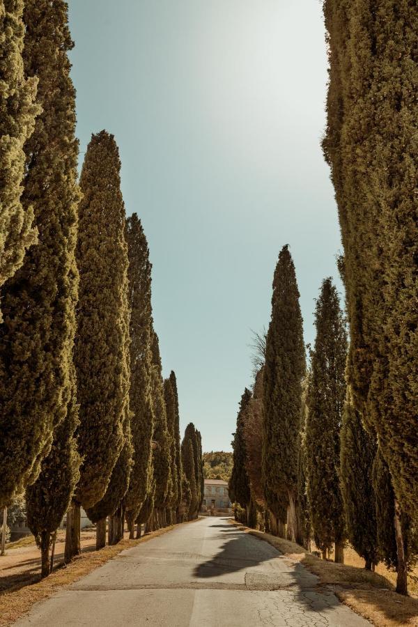 Casa Cavi Istria * Oprtalj